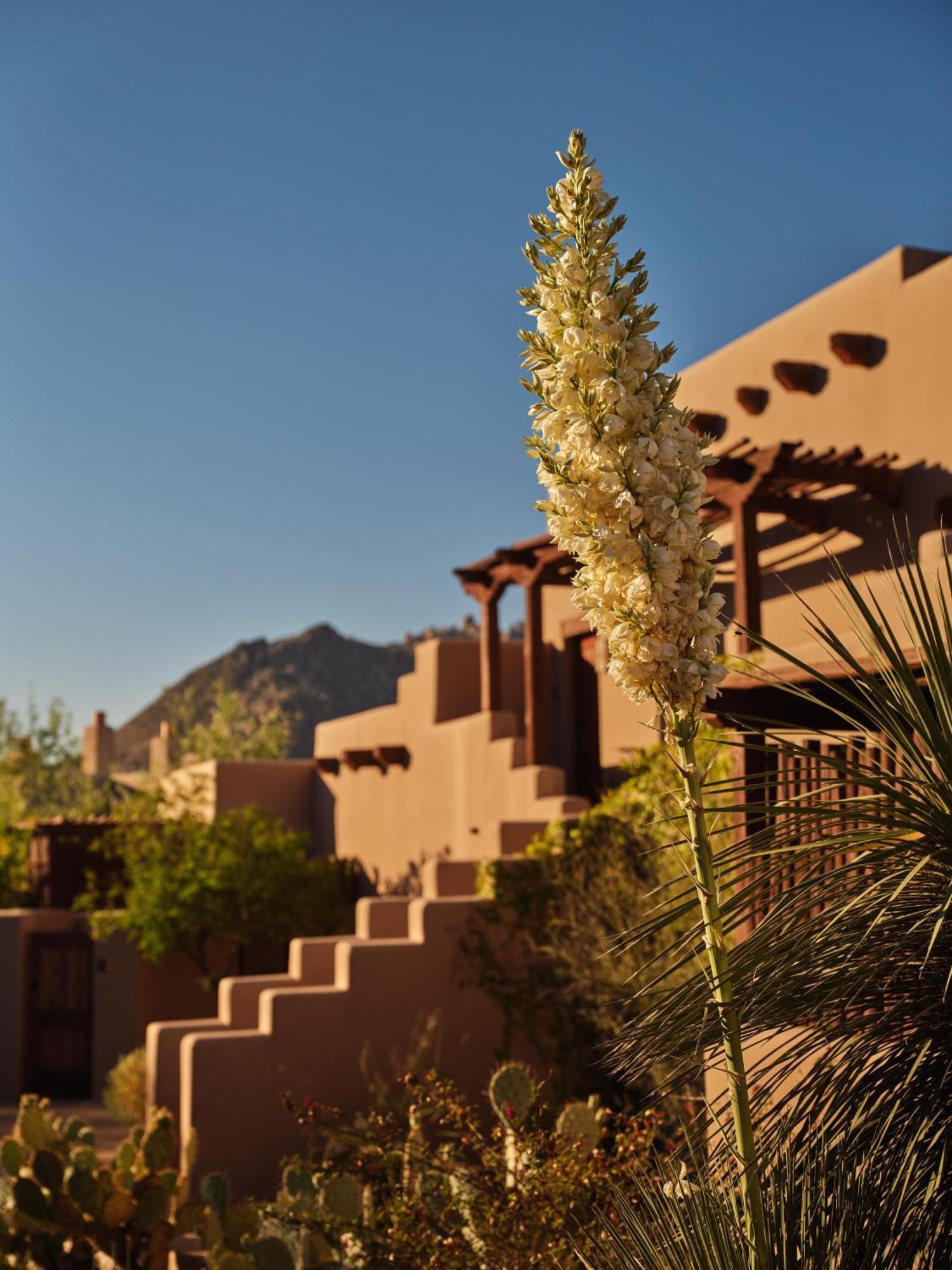 Four Seasons Resort Scottsdale At Troon North Eksteriør billede